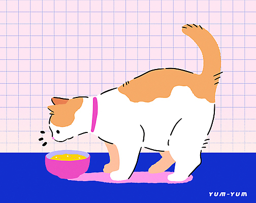 분홍색 일러스트 사람없음 고양이 먹기 밥그릇 반려묘 고양이먹이 국내일러스트 고양이목걸이 AI파일 그릇 컬러 포유류 모션 반려동물 먹이 파일형식 벡터 애묘용품