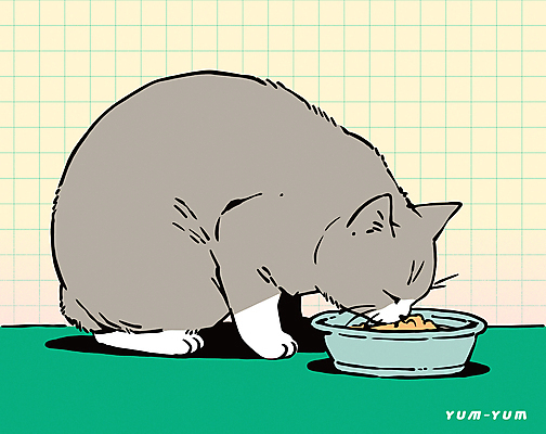 일러스트 사람없음 초록색 고양이 먹기 밥그릇 반려묘 고양이먹이 국내일러스트 AI파일 그릇 컬러 포유류 모션 반려동물 먹이 파일형식 벡터