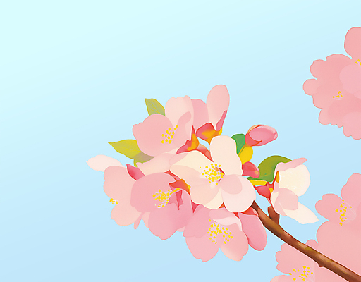 PSD 나무 분홍색 하늘색 일러스트 사람없음 봄 벚꽃 나뭇가지 국내일러스트 식물 계절 꽃 컬러 파란색 파일형식