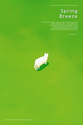 PSD 여유 일러스트 풍경 초원 사람없음 초록색 평화 고양이 봄 감성 국내일러스트 계절 감정 컬러 컨셉 포유류 반려동물 파일형식