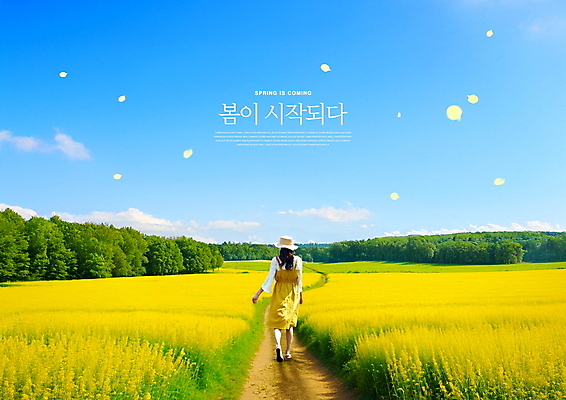 PSD 나무 구름 편집이미지 모자 여자 꽃잎 꽃밭 하늘 한명 사람 풍경 성인 걷기 봄 숲 유채 꽃길 입춘 성인여자한명만 이미지편집 자연요소 식물 1 잡화 계절 꽃 길 모션 절기 여자한명만 성인여자만 파일형식