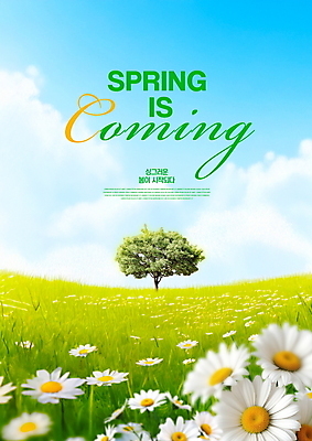 PSD 나무 구름 편집이미지 하늘 풍경 잔디 사람없음 봄 데이지 입춘 이미지편집 자연요소 식물 계절 꽃 절기 파일형식