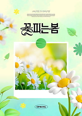 PSD 편집이미지 잎 나뭇잎 사람없음 연두색 봄 데이지 폴라로이드 그라데이션 입춘 이미지편집 식물 계절 꽃 초록색 카메라 절기 파일형식