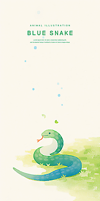 PSD 일러스트 나뭇잎 수채화 잔디 사람없음 연두색 귀여움 을사년 국내일러스트 푸른뱀 식물 컨셉 잎 초록색 뱀 파일형식 2025년