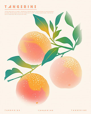 PSD 일러스트 수채화 사람없음 주황색 나뭇가지 판화 귤나무 국내일러스트 나무 컬러 귤 미술 파일형식