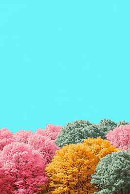 JPG 나무 편집이미지 자연 하늘 사람없음 컬러풀 편집실사 AI컴퓨터그래픽 AI콘텐츠 식물 컬러 CG 생태계 파일형식