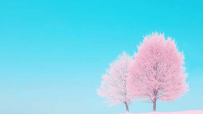 JPG 나무 무료이미지 편집이미지 분홍색 하늘색 자연 하늘 사람없음 편집실사 AI컴퓨터그래픽 AI콘텐츠 식물 컬러 파란색 CG 생태계 파일형식