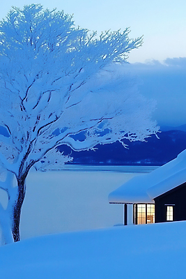 JPG 편집이미지 호수 자연 하늘 주택 북유럽 사람없음 파란색 고요 눈 겨울풍경 설산 눈덮임 편집실사 AI포토 AI콘텐츠 자연요소 유럽 컬러 컨셉 겨울 날씨 산 풍경 건물 CG 생태계 파일형식