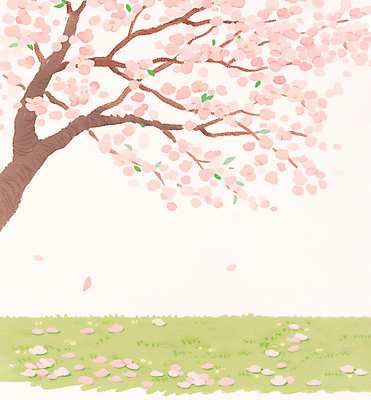 JPG 꽃잎 분홍색 일러스트 잔디 사람없음 봄풍경 벚나무 떨어짐 감성 국내일러스트 AI일러스트 AI콘텐츠 나무 식물 꽃 컬러 컨셉 풍경 봄 벚꽃 파일형식