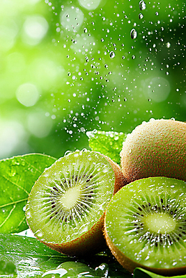JPG 편집이미지 잎 단면 키위 사람없음 초록색 물 빛 물방울 신선 보케 편집실사 AI포토 AI콘텐츠 자연요소 식물 컬러 과일 CG 파일형식