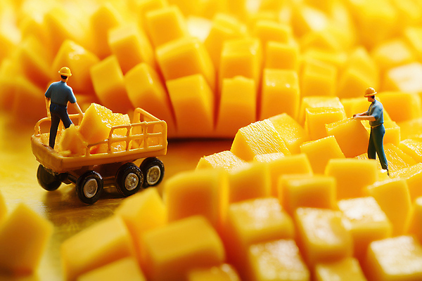 JPG 전신 편집이미지 남자 과일 성인 두명 농장 수레 미니어처 운반 농부 승차 안전모 망고 성인남자만 편집실사 AI포토 AI콘텐츠 직업 농업 모션 사람 모형 카트 헬멧 안전장비 CG 열대과일 남자만 성인만 파일형식