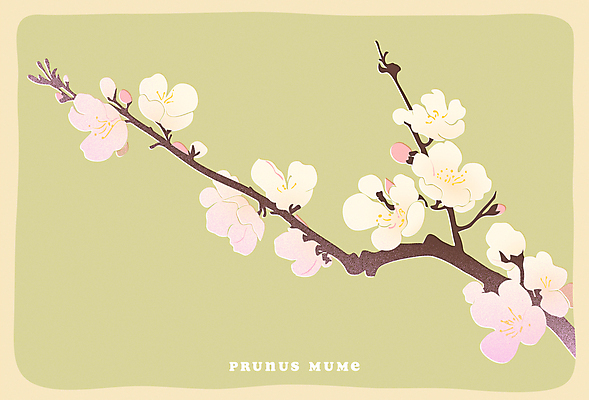 포스터 일러스트 사람없음 연두색 봄 매화 매화나무 국내일러스트 AI파일 카드프레임 나무 계절 꽃 프레임 초록색 파일형식 벡터