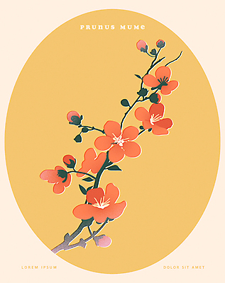 포스터 일러스트 프레임 사람없음 노란색 봄 매화나무 홍매화 국내일러스트 AI파일 카드프레임 나무 계절 컬러 매화 파일형식 벡터