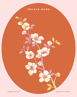 포스터 일러스트 프레임 사람없음 빨간색 봄 매화 매화나무 국내일러스트 AI파일 카드프레임 나무 계절 꽃 컬러 파일형식 벡터