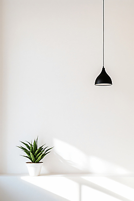 JPG 편집이미지 화분 잎 조명 밝음 사람없음 빛 인테리어 흰색 알로에베라 편집실사 AI포토 AI콘텐츠 식물 디자인 컬러 CG 알로에 파일형식