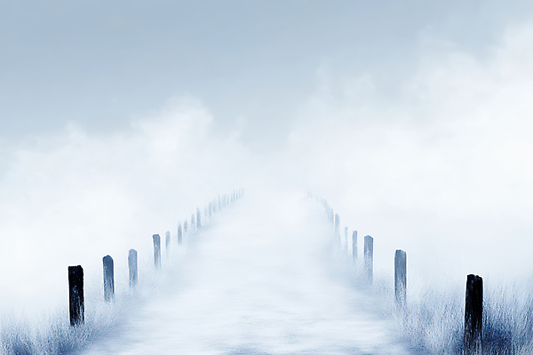 JPG 길 겨울 일러스트 풍경 사람없음 안개 감성 흐림 나무울타리 국내일러스트 AI일러스트 AI콘텐츠 계절 컨셉 날씨 울타리 파일형식