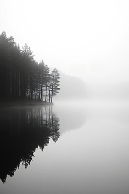 JPG 나무 호수 겨울 일러스트 풍경 사람없음 반사 안개 숲 감성 흐림 국내일러스트 AI일러스트 AI콘텐츠 식물 계절 컨셉 날씨 파일형식
