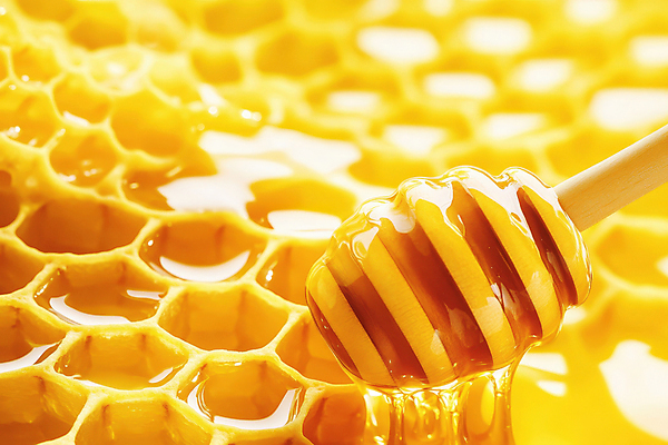 JPG 편집이미지 사람없음 노란색 흐름 벌집 벌꿀 허니디퍼 편집실사 AI컴퓨터그래픽 AI콘텐츠 컬러 컨셉 도구 CG 꿀 파일형식