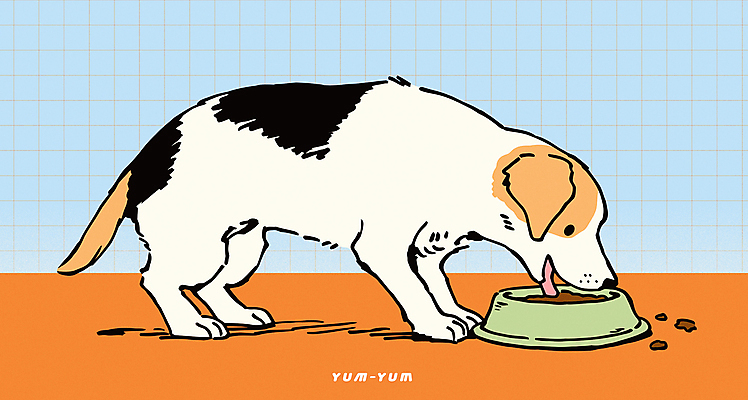 행복 반려견 하늘색 일러스트 밥 사람없음 귀여움 주황색 강아지 먹이 먹기 비글 개밥그릇 개사료 국내일러스트 AI파일 그릇 감정 음식 컬러 컨셉 모션 파란색 반려동물 개 애견용품 파일형식 벡터