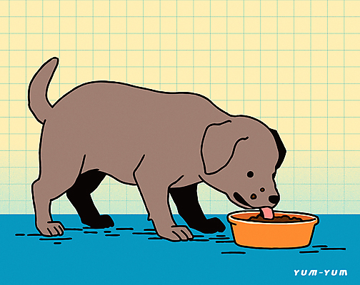 행복 반려견 일러스트 밥 사람없음 귀여움 강아지 먹이 먹기 개밥그릇 개사료 국내일러스트 AI파일 그릇 감정 음식 컨셉 모션 반려동물 개 애견용품 파일형식 벡터