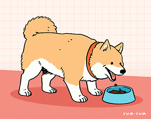 행복 반려견 분홍색 일러스트 밥 사람없음 귀여움 강아지 먹이 먹기 목줄 개밥그릇 개사료 시바견 국내일러스트 AI파일 그릇 감정 음식 컬러 컨셉 모션 반려동물 개 애견용품 파일형식 벡터 반려용품