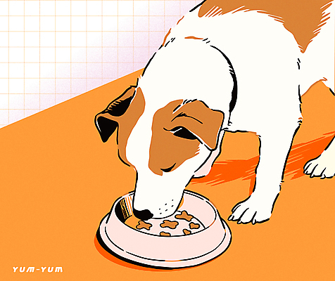 행복 반려견 일러스트 밥 사람없음 귀여움 주황색 강아지 먹이 먹기 개밥그릇 개사료 국내일러스트 AI파일 그릇 감정 음식 컬러 컨셉 모션 반려동물 개 애견용품 파일형식 벡터