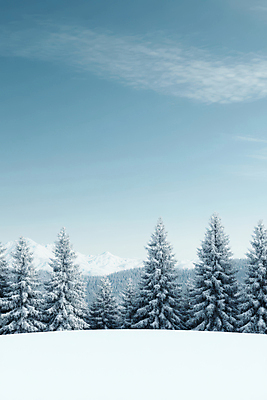 JPG 구름 편집이미지 자연 하늘 사람없음 파란색 설원 추위 숲 겨울풍경 설산 편집실사 AI포토 AI콘텐츠 자연요소 컬러 겨울 산 눈_날씨 풍경 CG 생태계 파일형식