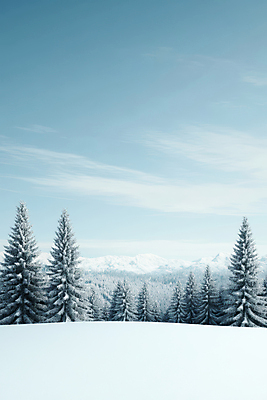 JPG 구름 편집이미지 자연 하늘 사람없음 파란색 설원 추위 숲 겨울풍경 설산 편집실사 AI포토 AI콘텐츠 자연요소 컬러 겨울 산 눈_날씨 풍경 CG 생태계 파일형식