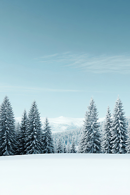 JPG 구름 편집이미지 자연 하늘 사람없음 파란색 설원 추위 숲 겨울풍경 설산 편집실사 AI포토 AI콘텐츠 자연요소 컬러 겨울 산 눈_날씨 풍경 CG 생태계 파일형식