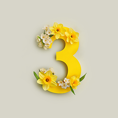 JPG 편집이미지 잎 봄꽃 3 타이포그라피 사람없음 노란색 화사함 수선화 편집실사 AI컴퓨터그래픽 AI콘텐츠 식물 문자 꽃 컬러 컨셉 봄 CG 파일형식