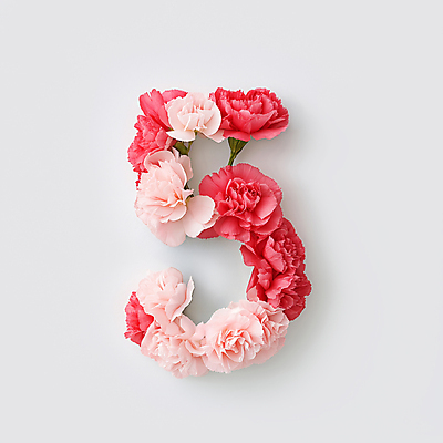 JPG 편집이미지 분홍색 봄꽃 타이포그라피 사람없음 카네이션 화사함 5 편집실사 AI컴퓨터그래픽 AI콘텐츠 문자 꽃 컬러 컨셉 숫자 봄 CG 파일형식