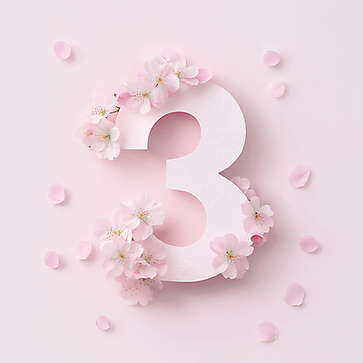 JPG 편집이미지 꽃잎 분홍색 봄꽃 3 타이포그라피 사람없음 화사함 편집실사 AI컴퓨터그래픽 AI콘텐츠 문자 꽃 컬러 컨셉 봄 CG 파일형식