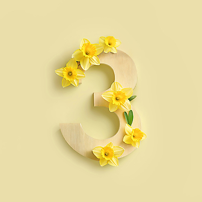 JPG 편집이미지 잎 봄꽃 3 타이포그라피 사람없음 노란색 화사함 수선화 편집실사 AI컴퓨터그래픽 AI콘텐츠 식물 문자 꽃 컬러 컨셉 봄 CG 파일형식