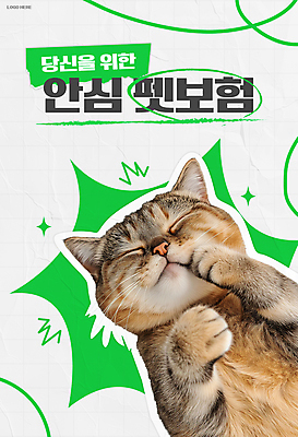 템플릿 종이 선 사람없음 초록색 반려동물 눈감음 고양이 낙서 질감 안심 동물보험 이미지템플릿 AI파일 동물 컬러 포유류 모션 육류 보험 파일형식 벡터