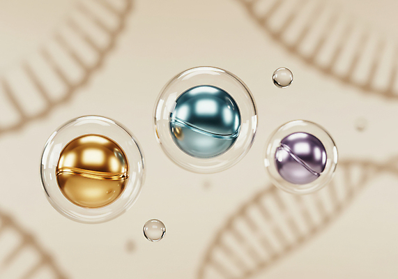 JPG 편집이미지 세포 사람없음 반짝임 물방울 DNA 피부 디지털합성 피부관리 리프팅 콜라겐 탄력 편집실사 AI컴퓨터그래픽 AI콘텐츠 모션 신체부위 뷰티 생명공학 CG 단백질 파일형식