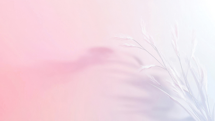 JPG 편집이미지 분홍색 백그라운드 갈대 그림자 사람없음 그라데이션 파스텔톤 편집실사 AI컴퓨터그래픽 AI콘텐츠 식물 컬러 CG 파일형식