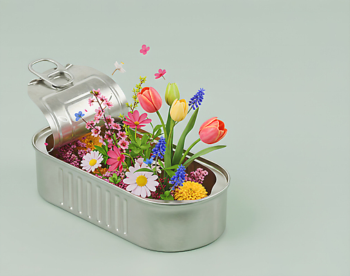 JPG 편집이미지 봄꽃 사람없음 회색 오픈 풀잎 캔 담기 통조림 봄맞이 편집실사 AI컴퓨터그래픽 AI콘텐츠 꽃 컬러 잎 모션 봄 풀_식물 CG 파일형식