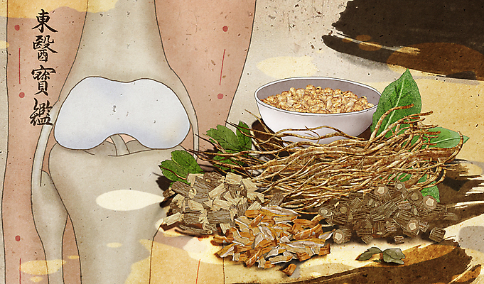 PSD 그릇 잎 일러스트 붓터치 건강 사람없음 한의학 약초 한약 관절 무릎 동의보감 두충 방풍 오가피 우슬 국내일러스트 식물 식기 채소 의학 뼈 신체부위 약 한약재 풀_식물 의술서적 파일형식