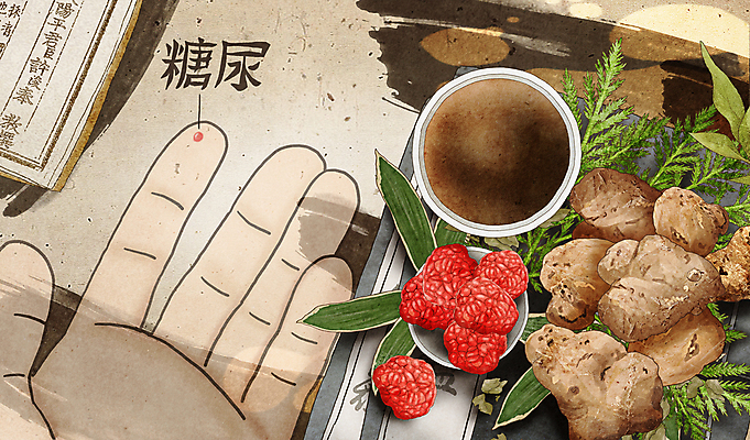 PSD 그릇 손 잎 일러스트 붓터치 건강 신체부위 책 한의학 한약재 혈액 약초 한약 당뇨병 동의보감 국내일러스트 식물 식기 의학 사람 약 약재 풀_식물 질병 의술서적 파일형식