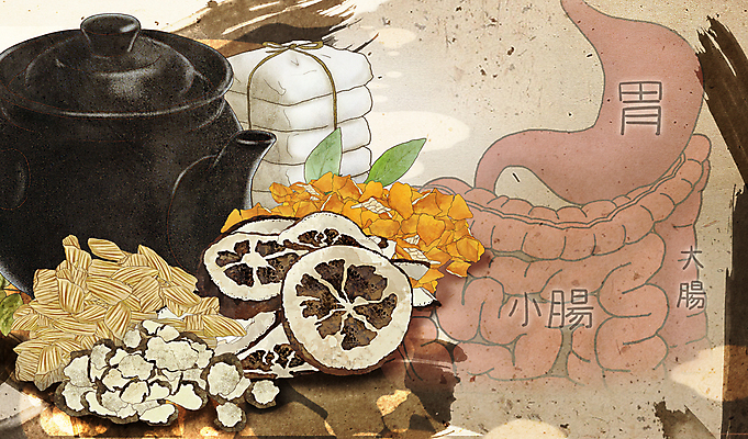 PSD 일러스트 주전자 붓터치 건강 사람없음 한의학 한약재 소화기관 약초 한약 대장 위장 위 귤껍질 동의보감 국내일러스트 의학 주방용품 귤 약 껍질 약재 장기_의학 풀_식물 방향 의술서적 파일형식