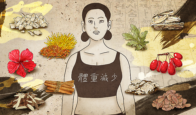 PSD 여자 다이어트 일러스트 건강 한명 상반신 성인 한의학 약초 한약 녹차 비만 감초 녹용 당귀 동의보감 백복령 산수유 신선목 히비스커스 성인여자한명만 국내일러스트 1 꽃 의학 사람 차_음료 약 약재 한약재 풀_식물 몸매 의술서적 여자한명만 성인여자만 파일형식