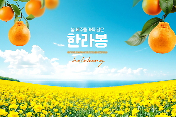 PSD 구름 편집이미지 바다 꽃밭 하늘 나뭇잎 풍경 사람없음 제주도 봄 나뭇가지 한라봉 유채밭 수평선 이미지편집 자연요소 나무 계절 꽃 잎 밭 과일 한국 유채 파일형식