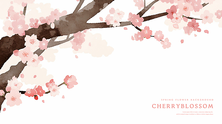 PSD 분홍색 꽃백그라운드 일러스트 수채화 사람없음 벚꽃 나뭇가지 감성 카피스페이스 봄배경 국내일러스트 나무 꽃 컬러 백그라운드 컨셉 봄 공백 파일형식