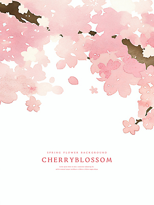 PSD 분홍색 꽃백그라운드 일러스트 수채화 사람없음 벚꽃 나뭇가지 감성 카피스페이스 봄배경 국내일러스트 나무 꽃 컬러 백그라운드 컨셉 봄 공백 파일형식