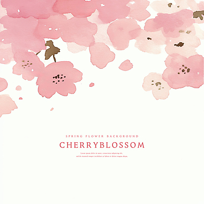PSD 분홍색 꽃백그라운드 일러스트 수채화 사람없음 벚꽃 감성 카피스페이스 봄배경 국내일러스트 꽃 컬러 백그라운드 컨셉 봄 공백 파일형식