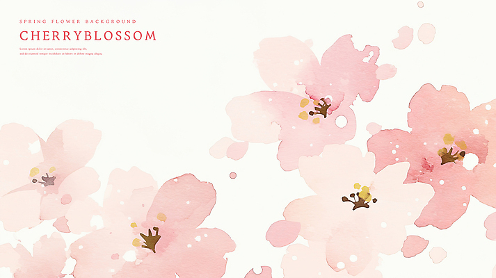 PSD 분홍색 꽃백그라운드 일러스트 수채화 사람없음 벚꽃 감성 카피스페이스 봄배경 국내일러스트 꽃 컬러 백그라운드 컨셉 봄 공백 파일형식