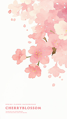 PSD 분홍색 꽃백그라운드 일러스트 수채화 사람없음 벚꽃 감성 카피스페이스 봄배경 국내일러스트 꽃 컬러 백그라운드 컨셉 봄 공백 파일형식