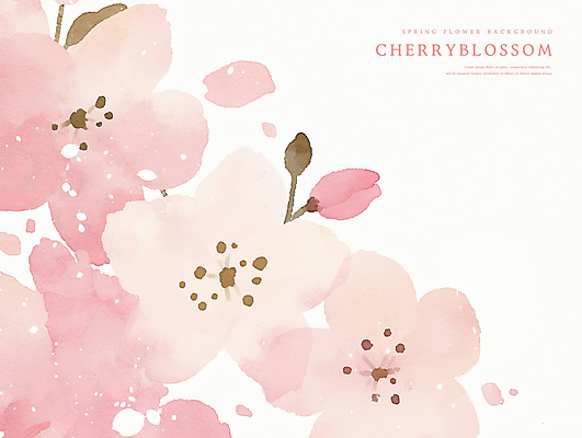 PSD 분홍색 꽃백그라운드 일러스트 수채화 사람없음 벚꽃 감성 카피스페이스 봄배경 국내일러스트 꽃 컬러 백그라운드 컨셉 봄 공백 파일형식