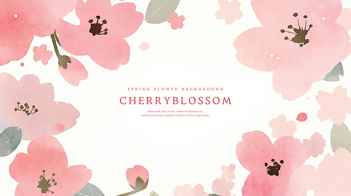 PSD 분홍색 꽃백그라운드 일러스트 수채화 사람없음 벚꽃 감성 꽃프레임 카피스페이스 봄배경 국내일러스트 꽃 컬러 백그라운드 컨셉 프레임 봄 공백 파일형식