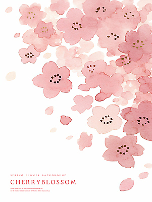PSD 분홍색 꽃백그라운드 일러스트 수채화 사람없음 벚꽃 감성 카피스페이스 봄배경 국내일러스트 꽃 컬러 백그라운드 컨셉 봄 공백 파일형식